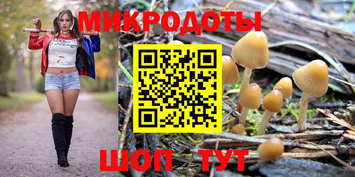 Прохладный  Псилоцибиновые грибы ЛСД  Вход с VPN 